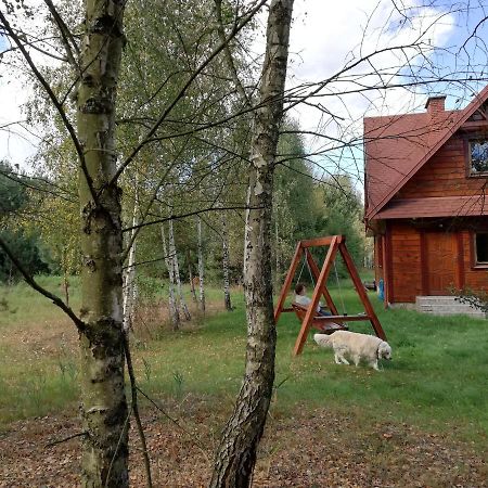 Wsrod Pol I Lasow Dubicze Cerkiewne Exteriör bild